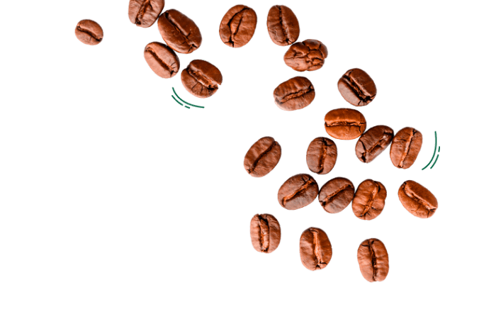 Starbucks Alimentos